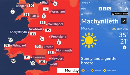 Wales and Dyfi bake in record temperatures