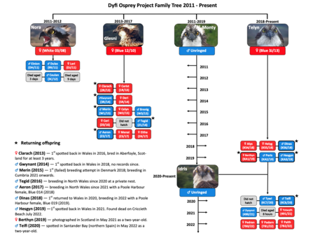 Family Tree