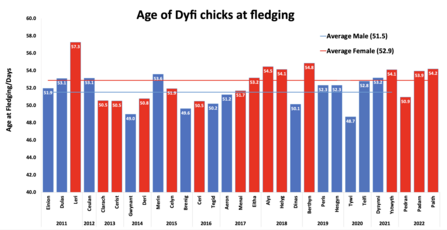 Age at fledging