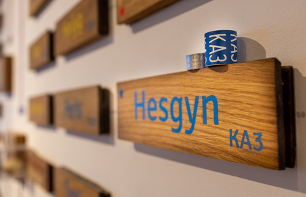 Hesgyn's is back home.