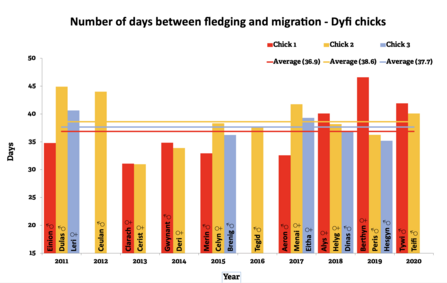 Fledging to Migration Ages