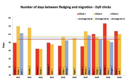 Days on the wing before migration