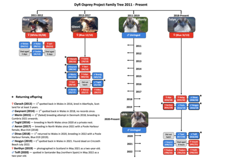 Dyfi Family Tree