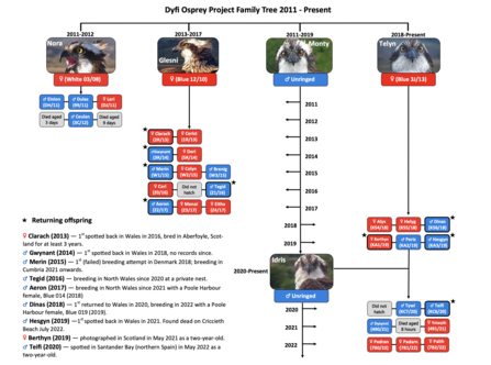 Dyfi Family Tree