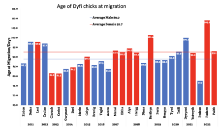 Migration ages of all Dyfi offspring