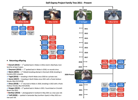 Dyfi Family Tree.