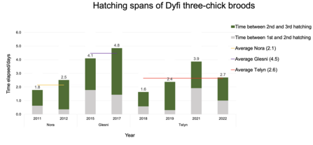 Delayed vs Immediate Incubation Strategies