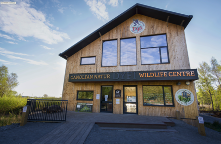 Dyfi Wildlife Centre