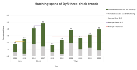 Hatching spans 2025