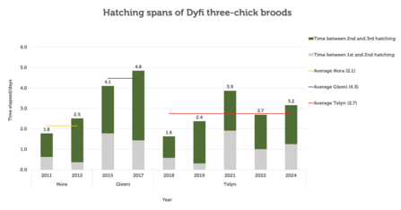 Average hatching spans of all Dyfi three-chick broods