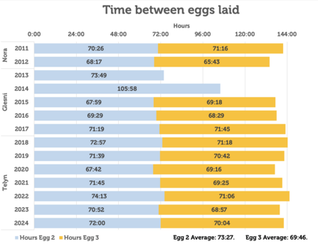 Time between eggs 2011 - present
