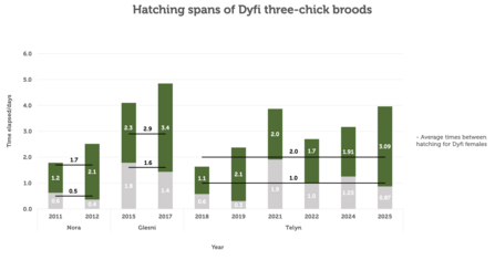 Chick 1-2, 2-3 spans