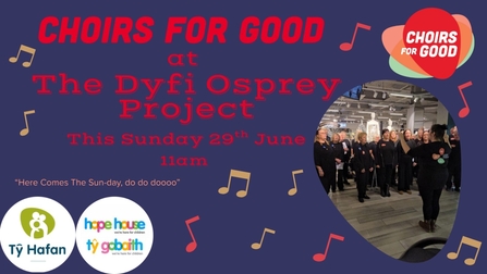 Choirs for good