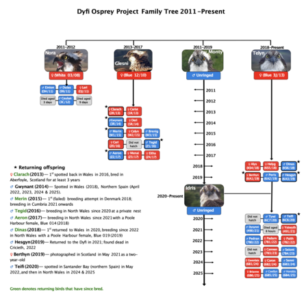 Dyfi Family Tree