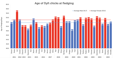 Fledging chart