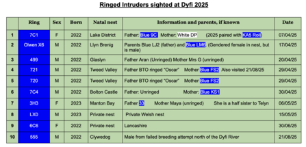 2025 Ringed Intruders