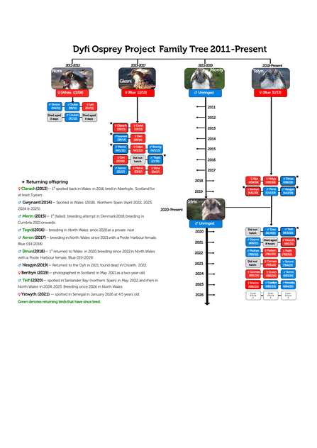 Family tree_2026