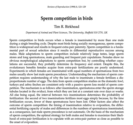 Sperm competition in birds