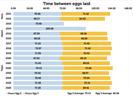 Egg 2 and 3 production times
