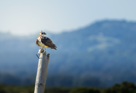 Morven in Cádiz, Andalucía, Spain, photograph by Will Pedley