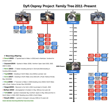 Dyfi Family Tree