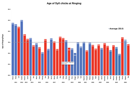 Age at ringing