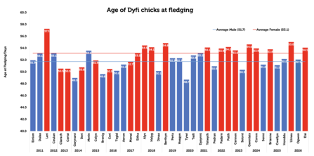 Fledging ages