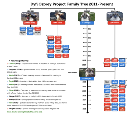 Family tree