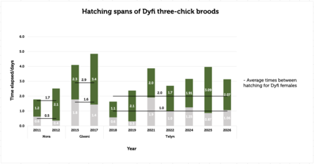 Hatching spans
