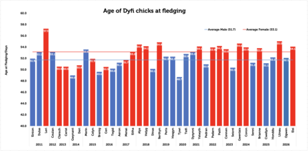 Age at fledging