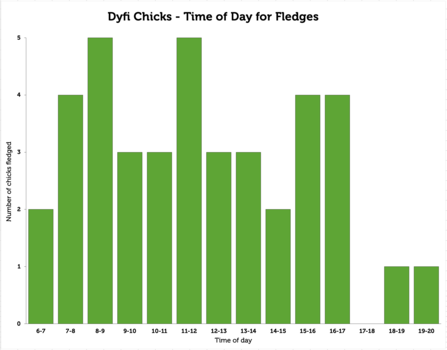 Time of fledging