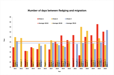 Age between fledging and migration