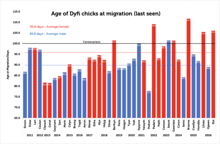 Age at migration