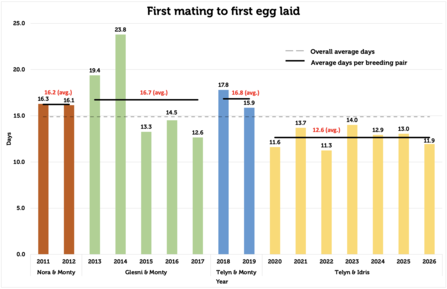 Mating to first egg