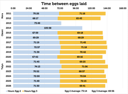 Time between eggs laid